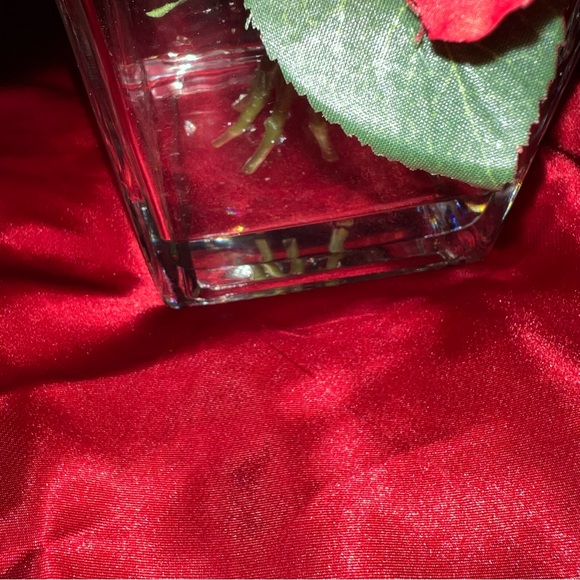 Collection Roses🌹Glass Vase. NWT - Picture 6 of 7